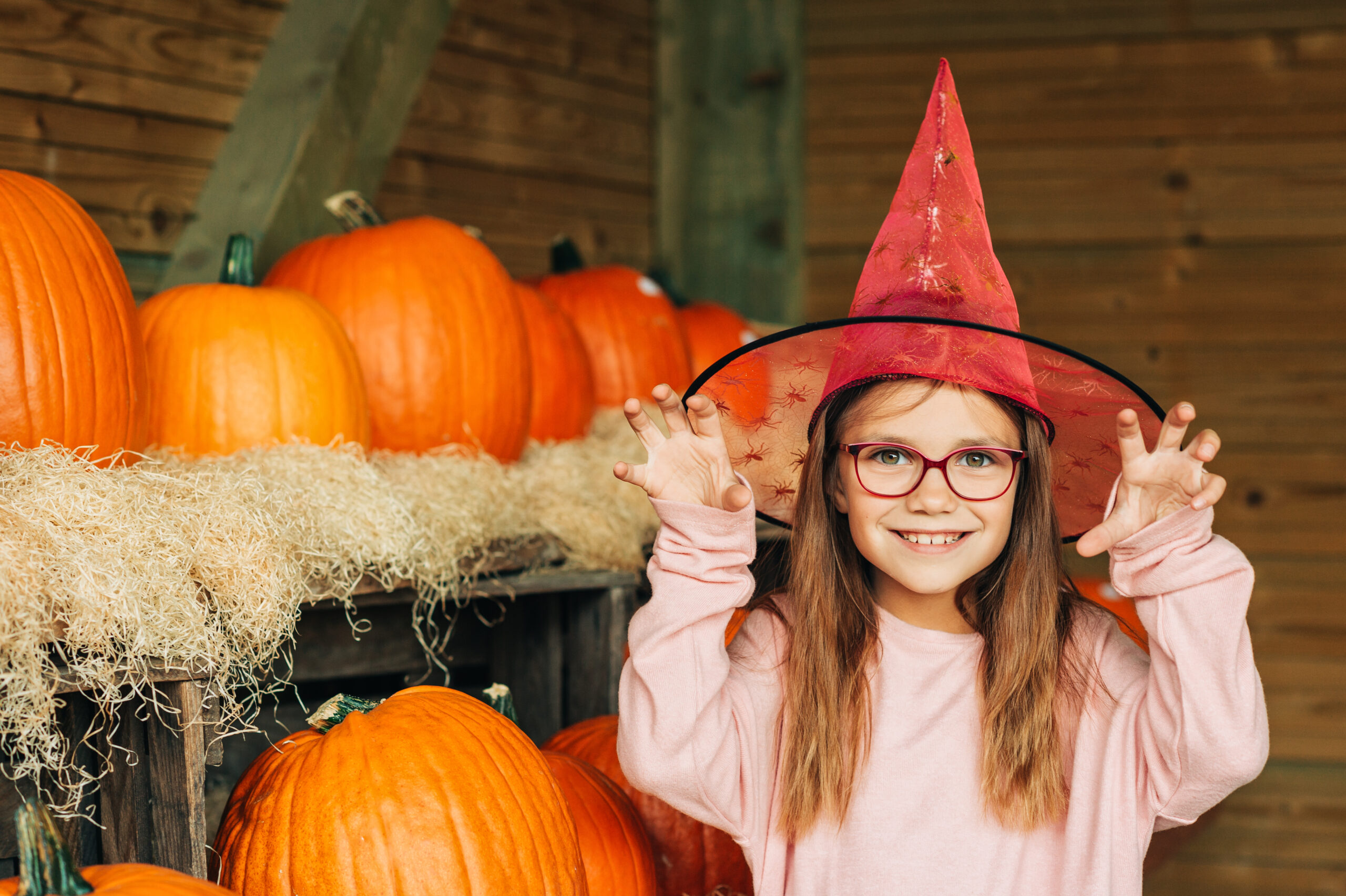 adorable,little,girl,choosing,halloween,pumpkin,on,farm,market