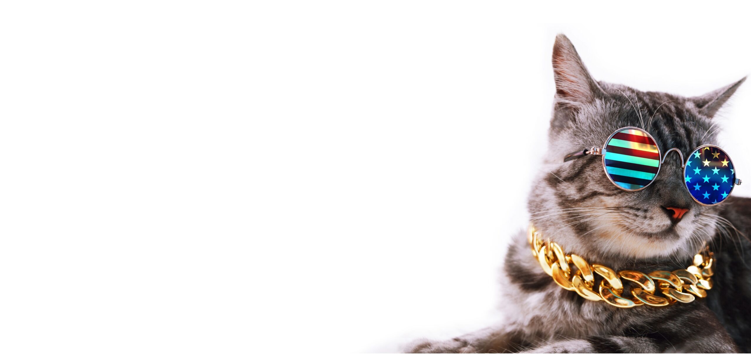 patrioticcatright